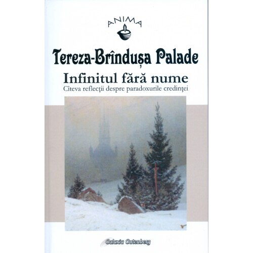 Infinitul fara nume - Tereza Brandusa-Palade