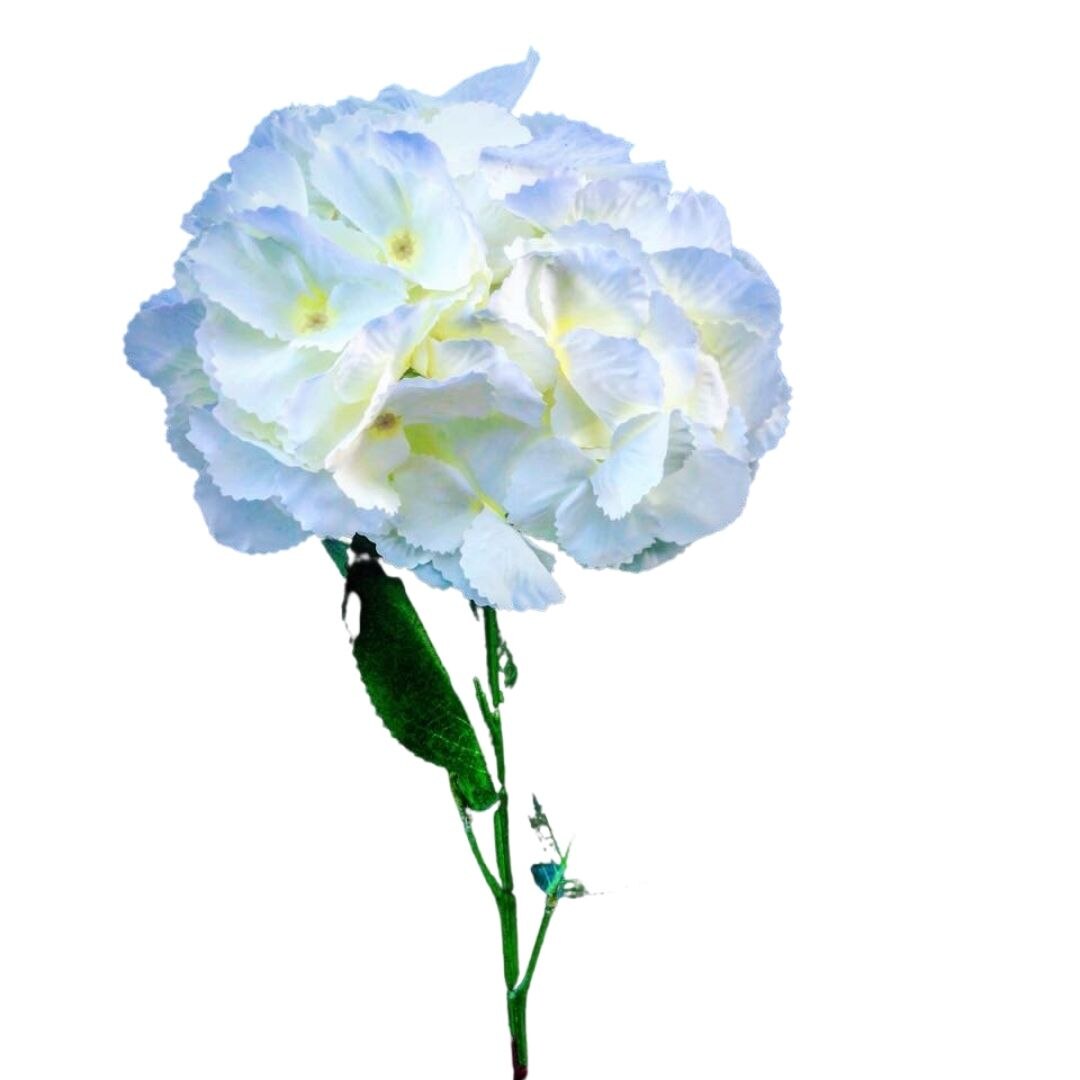 Hortensie cu tulpina lunga, alba, 30x70 cm