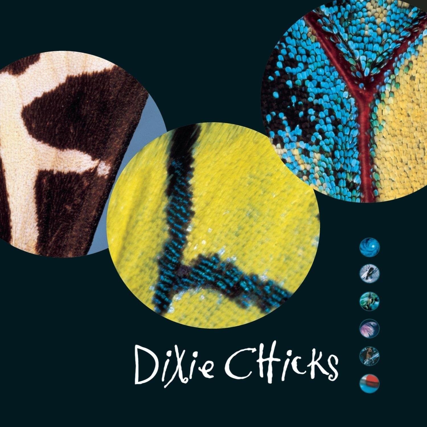 Dixie Chicks-Fly-2LP