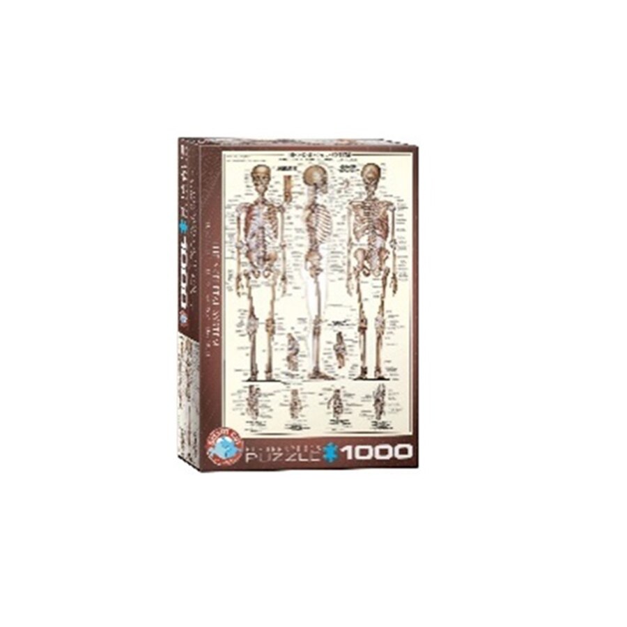 Puzzle Eurographics - Das skelettsystem, 1000 piese