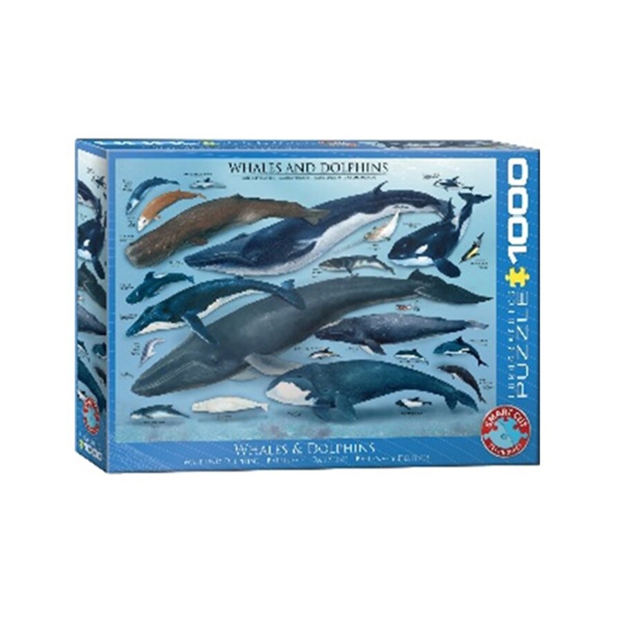 Puzzle Eurographics - Dolphins and whales, 1000 piese