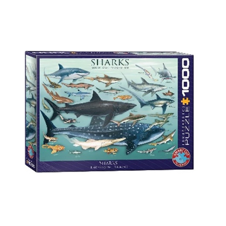 Пъзел Eurographics - Sharks, 1000 части
