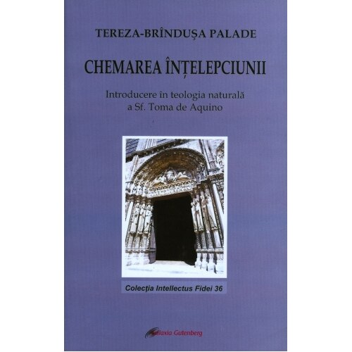 Chemarea intelepciunii - Tereza Brandusa Palade