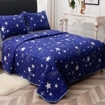 Set cuvertura matlasata si 2 fete de perna, 210 x 230 cm, pat dublu, Casa de Vis, Y006 Set cuvertura matlasata si 2 fete de perna, 210 x 230 cm, pat dublu, Casa de Vis, Y006