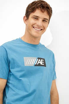 American Eagle, Tricou cu decolteu la baza gatului de bumbac, Albastru/Argintiu/Negru American Eagle, Tricou cu decolteu la baza gatului de bumbac, Albastru/Argintiu/Negru