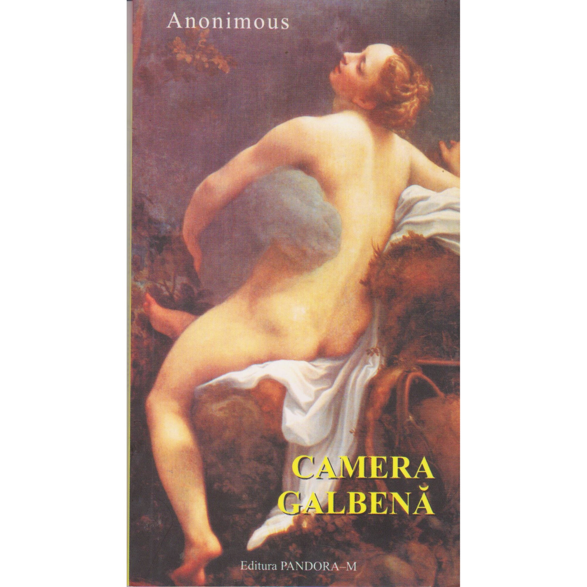 Camera galbena - Anonimous