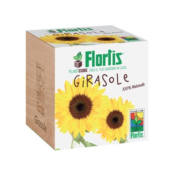 Kit de crestere Floarea soarelui, tip cub, cu seminte Kit de crestere Floarea soarelui, tip cub, cu seminte