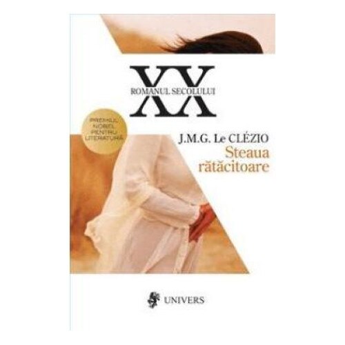 Steaua ratacitoare, Anca Popescu