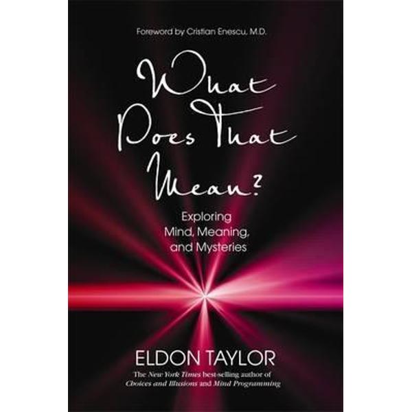 What Does That Mean? Exploring Mind, Meaning, and Mysteries - Eldon Taylor
