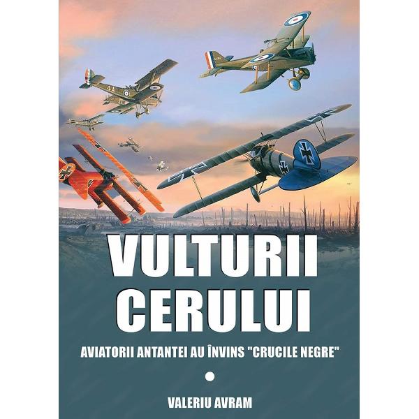 Vulturii cerului - Valeriu Avram