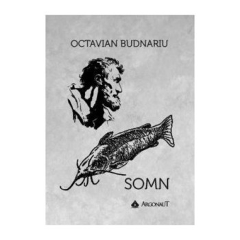 Somn, Octavian Budnariu Somn, Octavian Budnariu