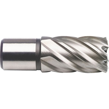 Burghiu Tip Carota Pentru Metal Hss-Co 8% D 20 Mm Adancime 30 Mm Burghiu Tip Carota Pentru Metal Hss-Co 8% D 20 Mm Adancime 30 Mm