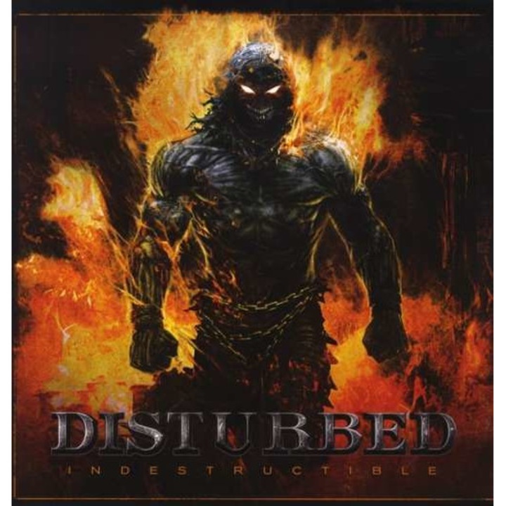 Disturbed - Indestructable (LP)