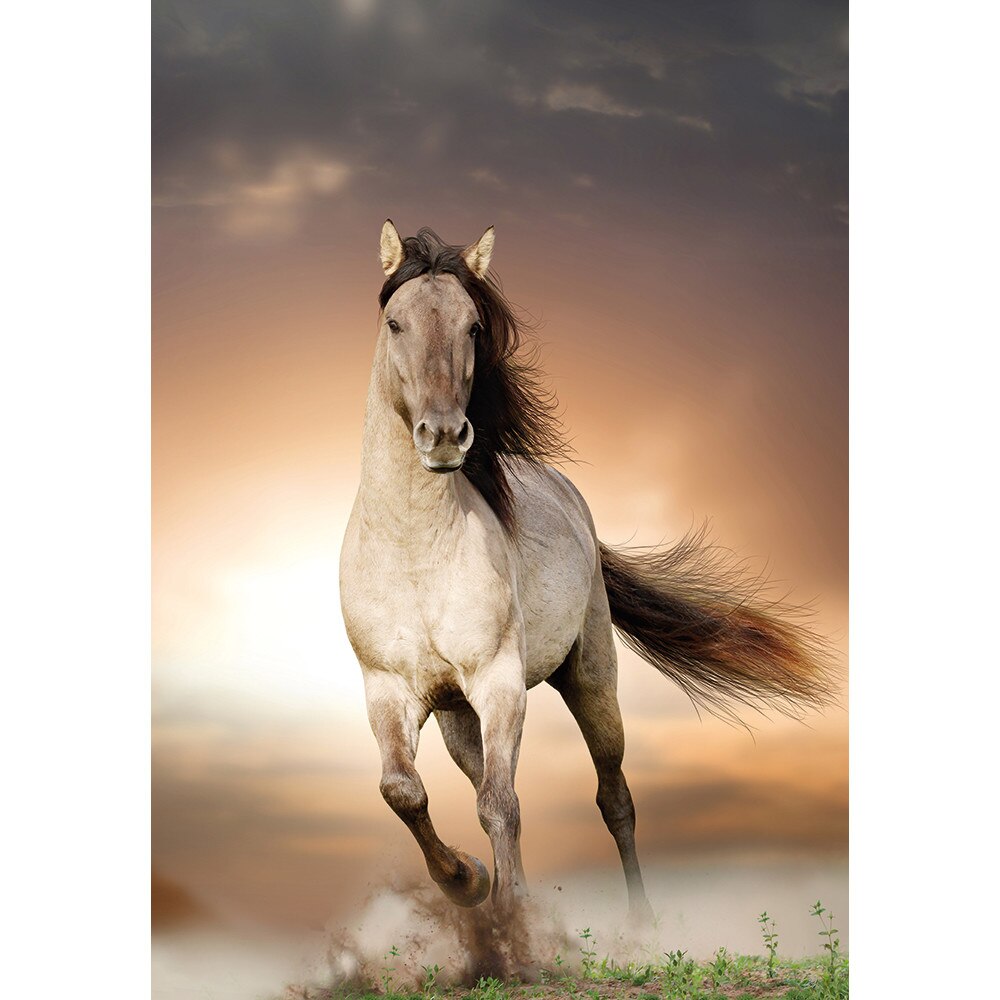 Fototapet DEGRETS 84642 Libertate, 136x194 cm