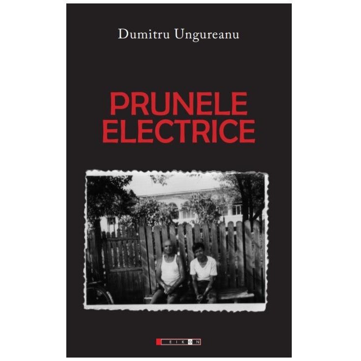 Prunele electrice, Dumitru Ungureanu