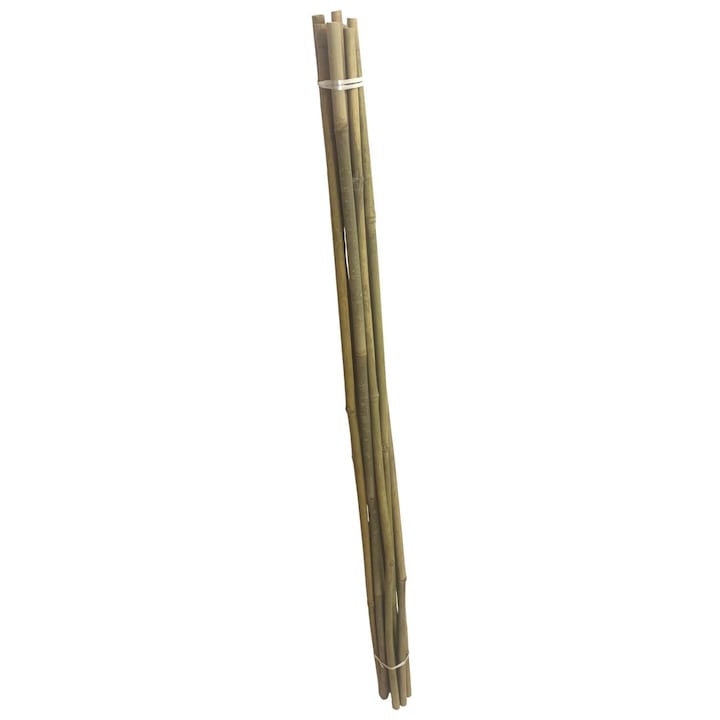 Комплект от 10 броя бамбукови пръчки Strend Pro KBT 2100/14-16 мм