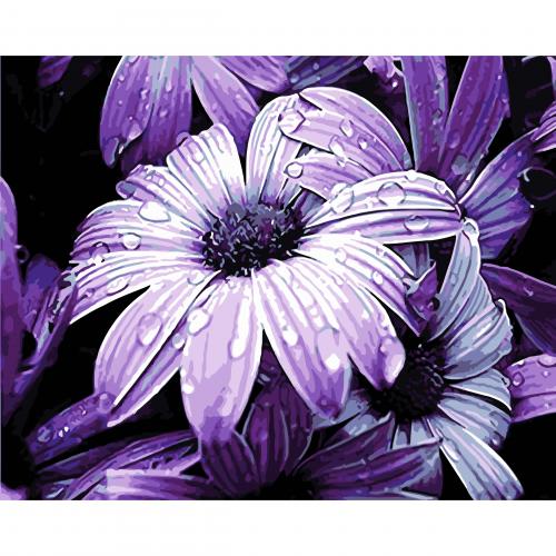 Set Pictura pe numere 40x50 cm, Panza din bumbac pe rama de lemn (PDP-149)