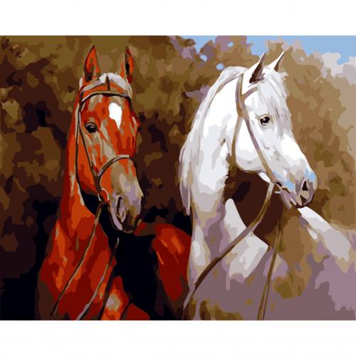 Set Pictura pe numere 40x50 cm, Panza din bumbac pe rama de lemn (PDP-150)