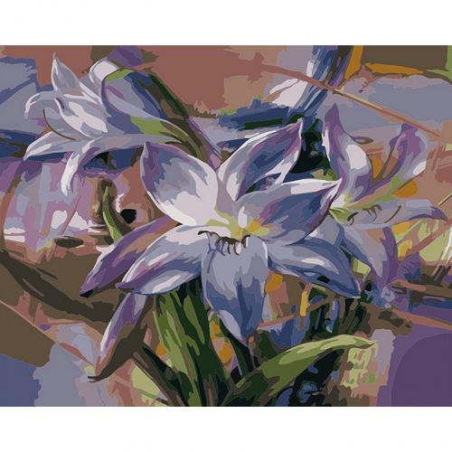 Set Pictura pe numere 40x50 cm, Panza din bumbac pe rama de lemn (PDP-50)