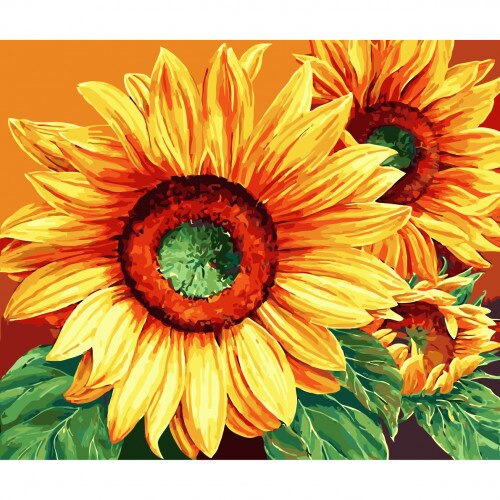 Set Pictura pe numere 40x50 cm, Panza din bumbac pe rama de lemn (PDP-440)