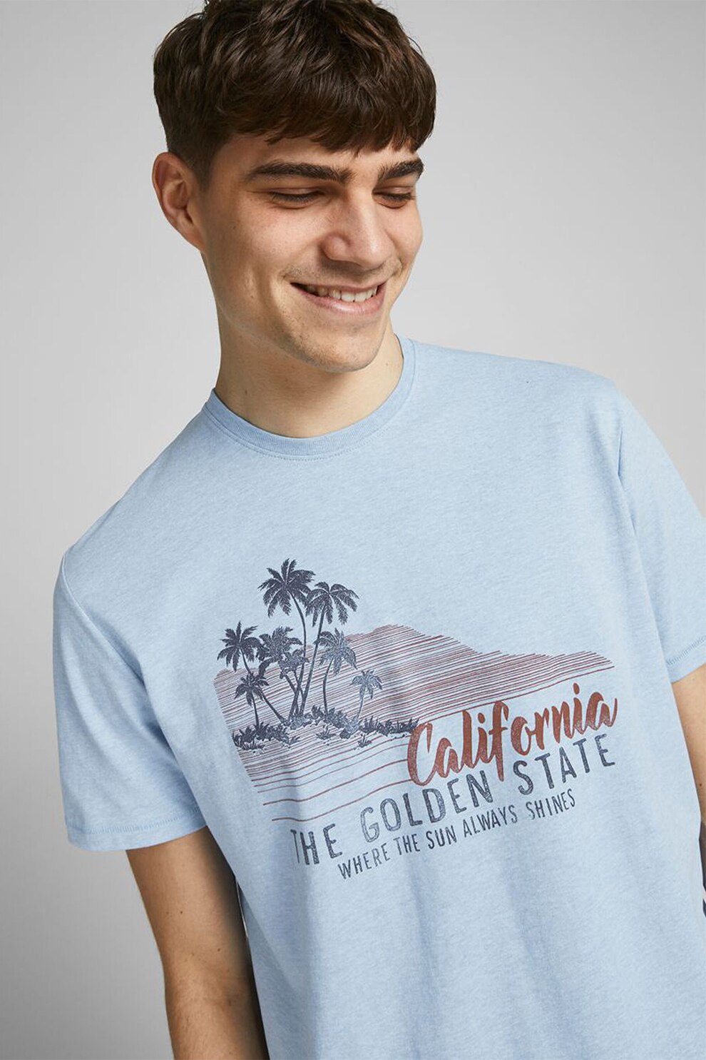 Jack&Jones, Tricou cu imprimeu grafic, Bleu/Bordeaux/Gri carbune