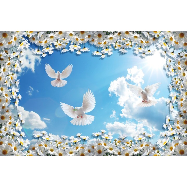 Fototapet 3D porumbei margarete, Autocolant PVC 200 x 300 cm