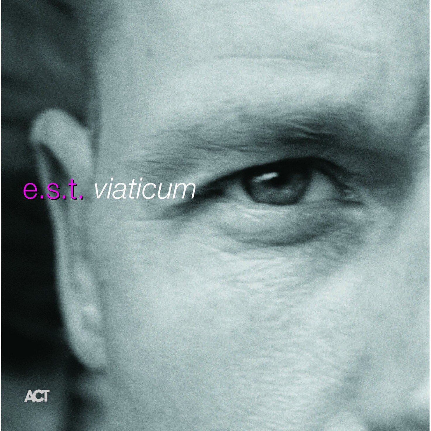 Esbjorn Svensson Trio - Viaticum - E.S.T. - Vinyl - Vinyl