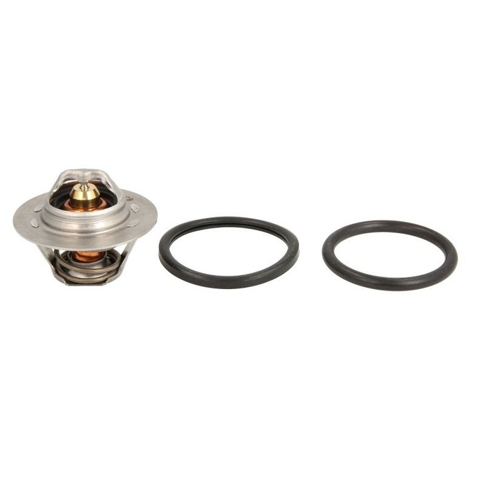 Hűtőfolyadék termosztát TH6045.89J