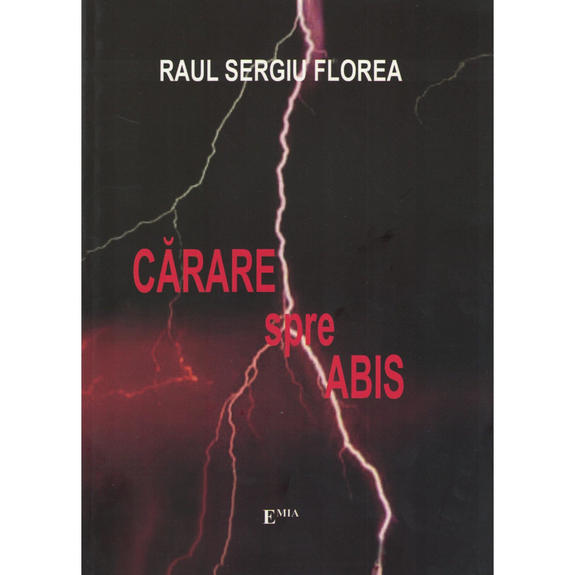 Carare spre abis - Raul Sergiu Florea