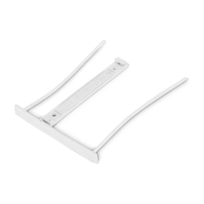 Alonja mare Forpus 23021