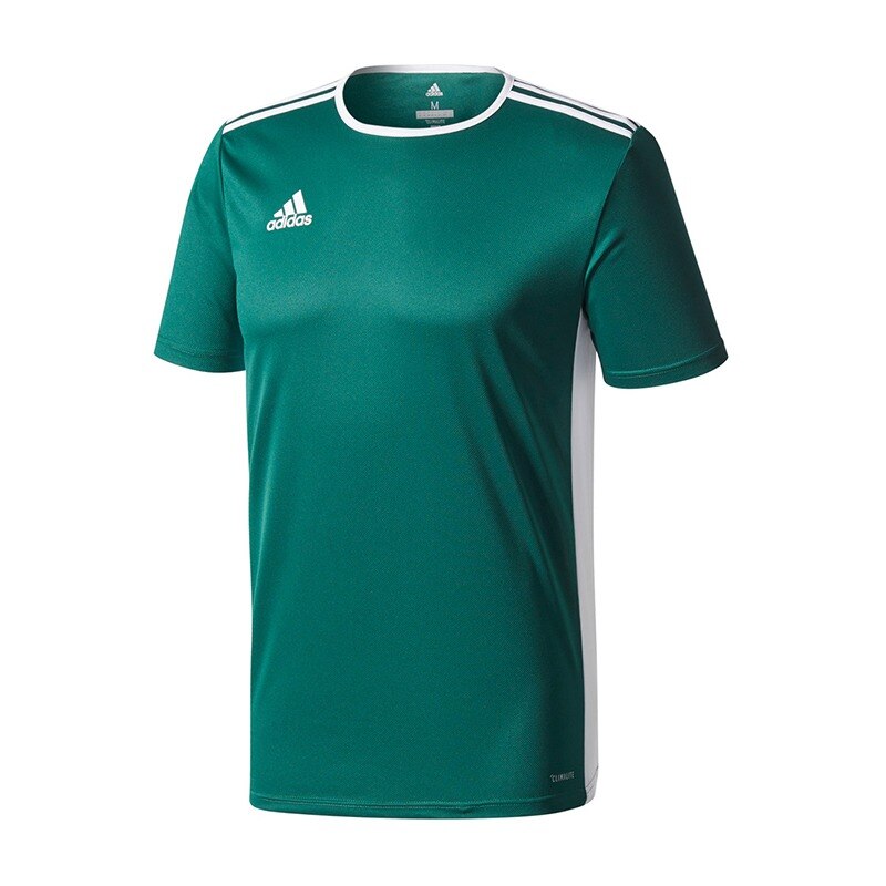 Tricou Adidas Entrada 18 CD8358, Barbati, Verde, M