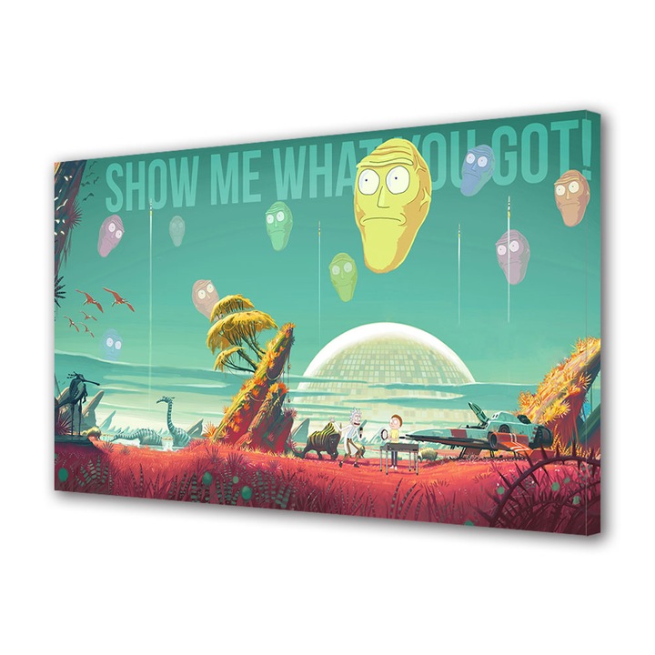 Tablou Canvas Led cu Intrerupator, Luminos in Intuneric, Premium, Art Star, Rick si Morty inntr-un univers frumos, Animatii, Panza pe cadru de lemn, Decoratiuni Moderne pentru Casa, 70 x 100 cm