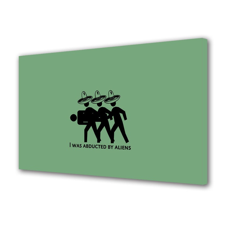 Tablou Canvas Led cu Intrerupator, Luminos in Intuneric, Premium, Art Star, Am fost rapit de extraterestri, Animatii, Panza pe cadru de lemn, Decoratiuni Moderne pentru Casa, 60 x 90 cm