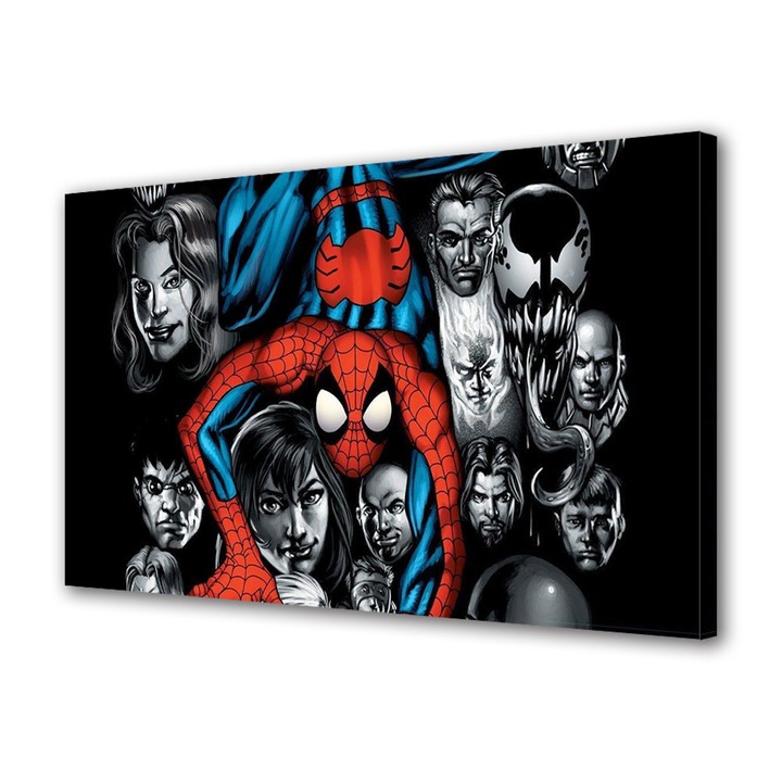Tablou Canvas Premium, Art Star, Spider-man color , Animatii, Panza pe cadru de lemn, Decoratiuni Moderne pentru Casa, 20 x 30 cm