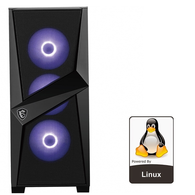 Sistem eSports gamingPC Pro10400, Intel core i5 10400, MSI B460M Mortar, RAM 16GB DDR4 3200MHz, stocare SSD M.2 1TB+2TB HDD, Forge, Linux