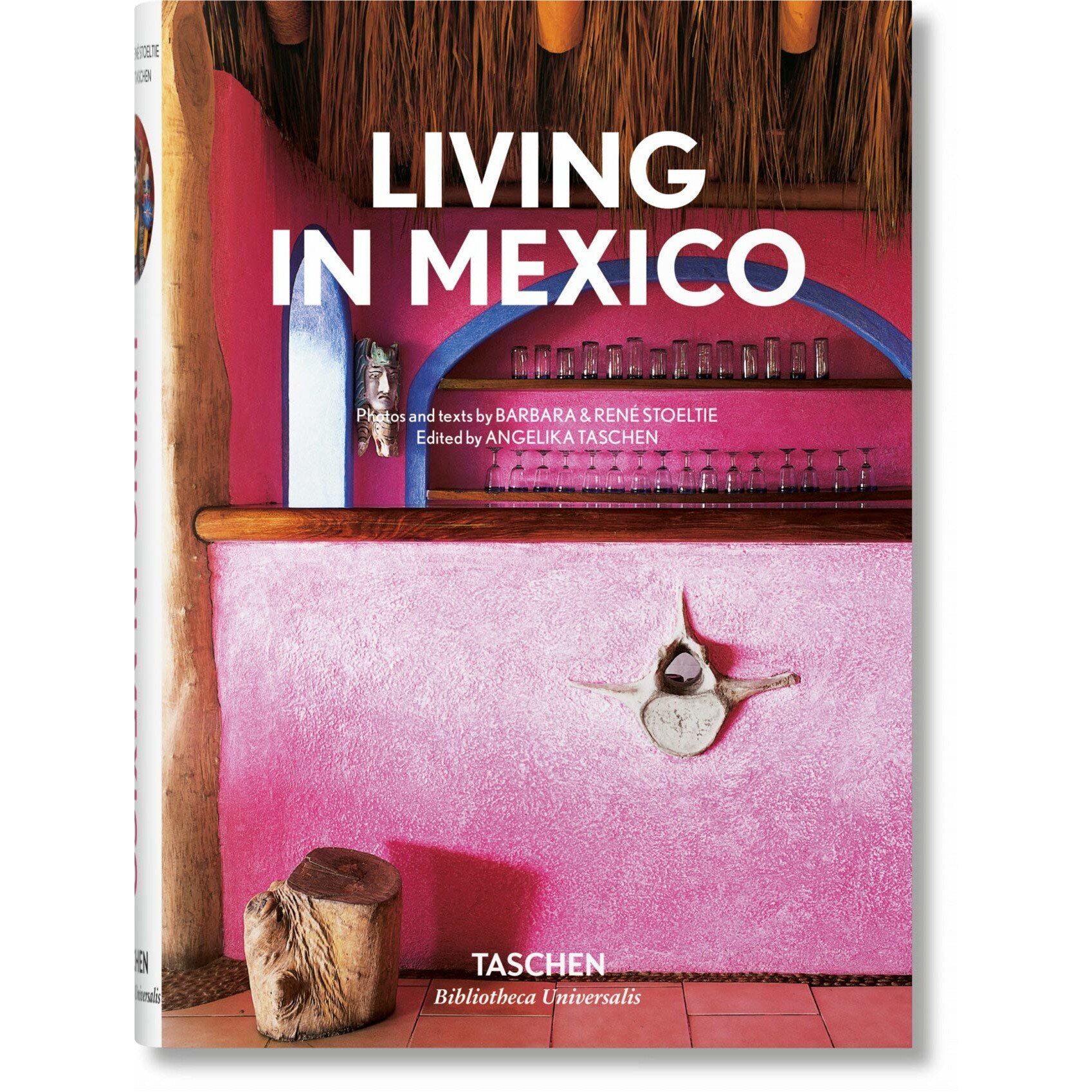 Living in Mexico - Barbara Stoeltie
