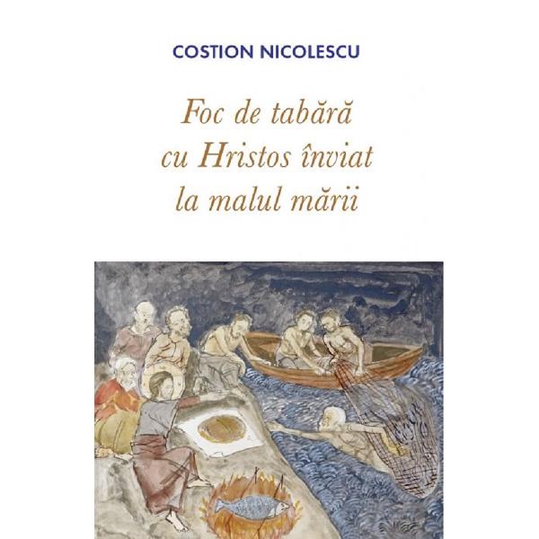 Foc de tabara - Costion Nicolescu