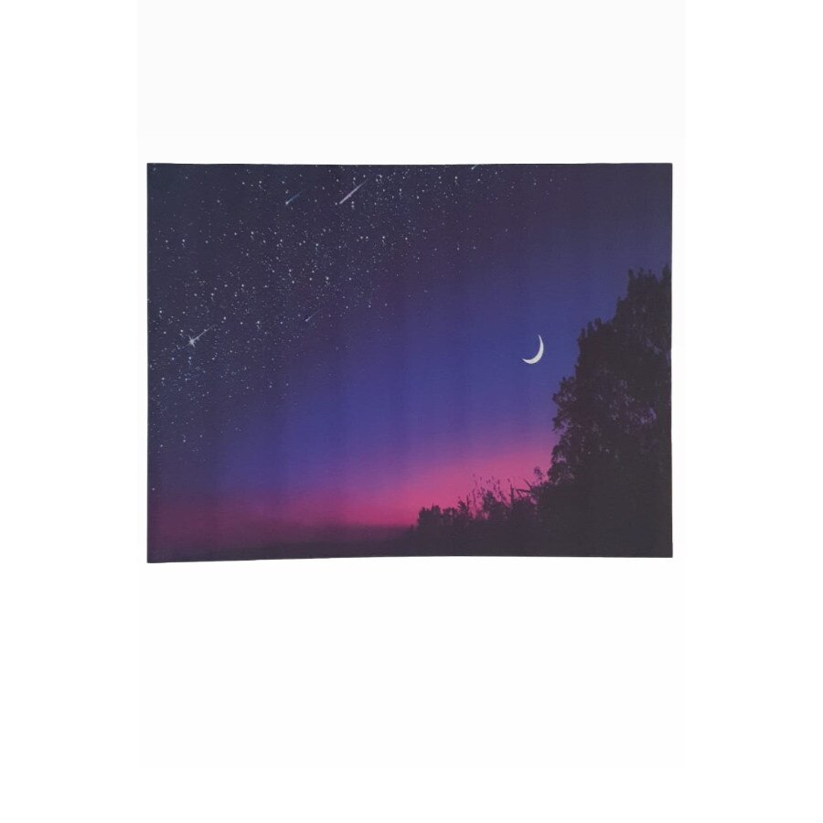 Tablou canvas, peisaj, cu led uri, rama lemn, multicolor, 60 x 90 cm