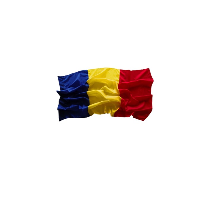 Steag Romania , 120 x 180 cm