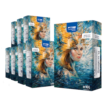 Pachet bag in box, apa de izvor din Talmaciu 8x10, La Fantana, 80 L