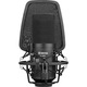 Microfon cu condensator pentru studio BOYA BY-M800