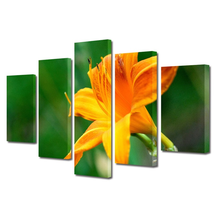Tablou Multicanvas 5 Piese Flori, Fir de liliac portocaliu, 120 x 225 cm