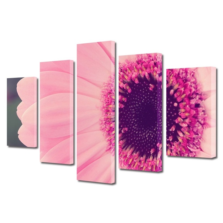 Tablou Multicanvas 5 Piese Flori, Gerbera roz, 45 x 75 cm