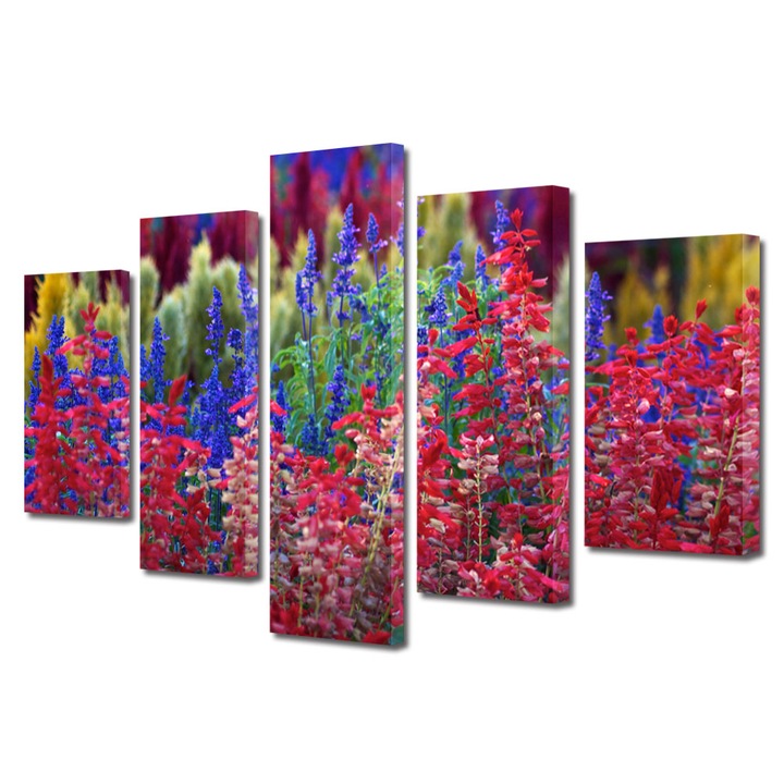 Tablou Multicanvas 5 Piese Flori, Flori curcubeu, 100 x 175 cm