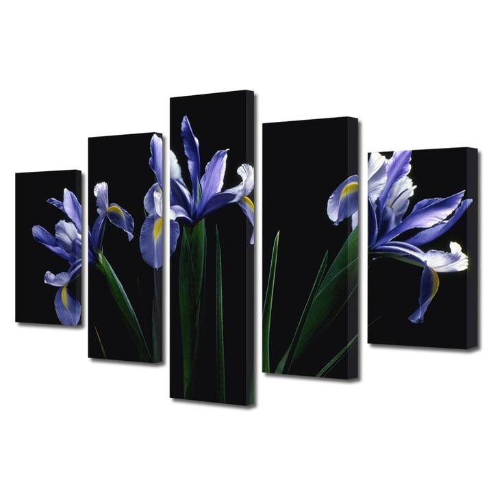 Tablou Multicanvas 5 Piese Flori, Flori mov, 45 x 75 cm