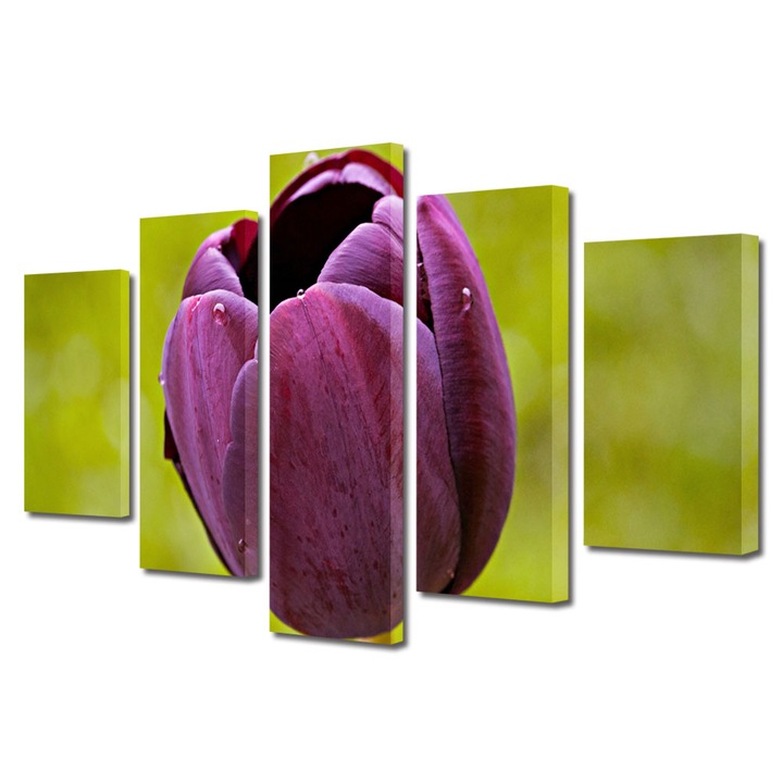 Tablou Multicanvas 5 Piese Flori, O lalea, 120 x 225 cm