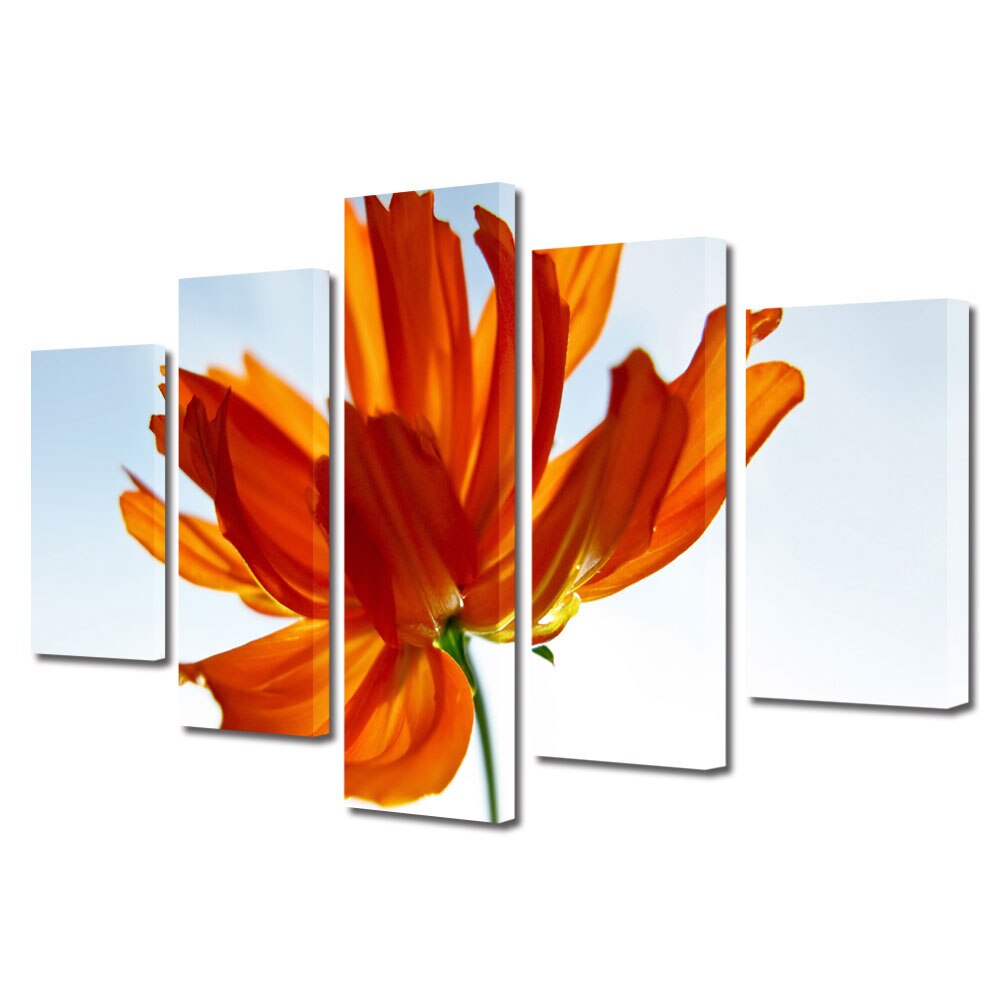 Tablou Multicanvas 5 Piese Flori, Floare in lumina soarelui, 45 x 75 cm