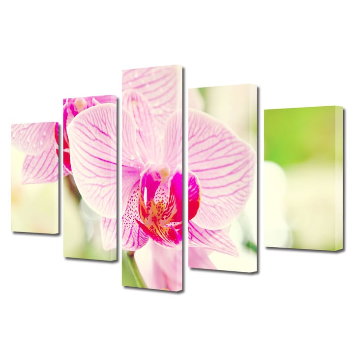Tablou Multicanvas 5 Piese Flori, Orhidee luminoasa, 45 x 75 cm