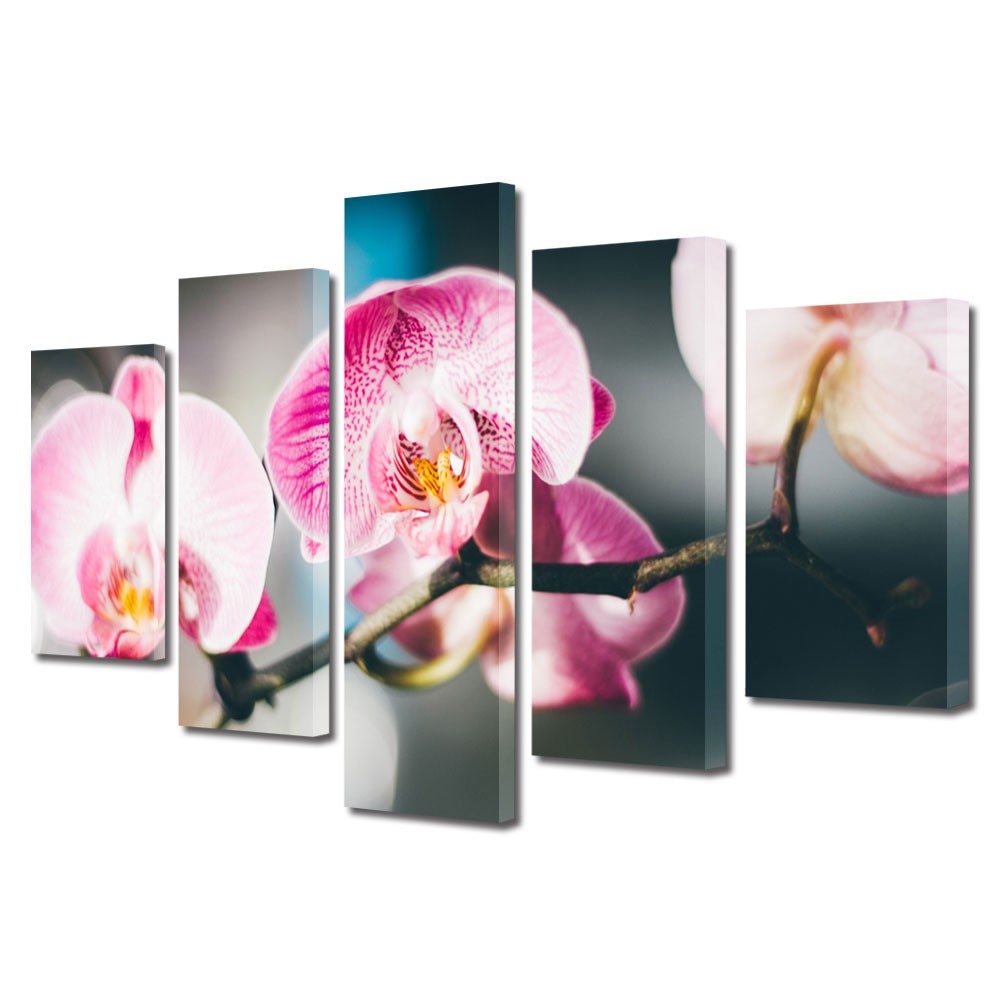 Tablou Multicanvas 5 Piese Flori, Orhidee inflorite, 45 x 75 cm