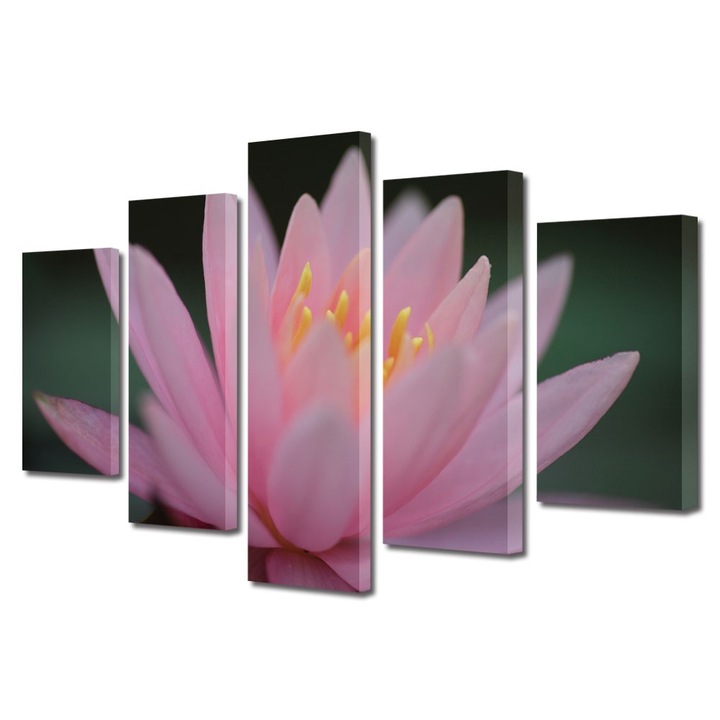 Tablou Multicanvas 5 Piese Flori, Liliac de apa roz, 120 x 225 cm